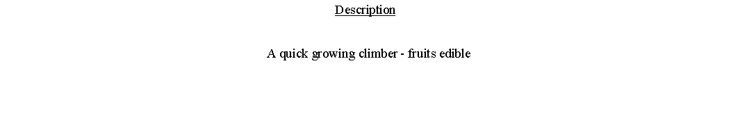 Text Box: Description  A quick growing climber - fruits edible 