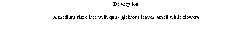Text Box: DescriptionA medium sized tree with quite glabrous leaves, small white flowers 
