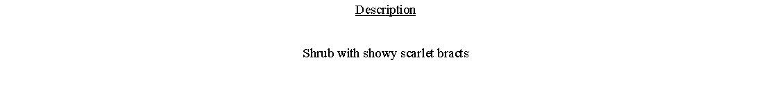 Text Box: DescriptionShrub with showy scarlet bracts 