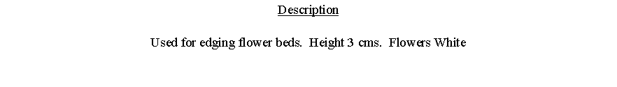 Text Box: DescriptionUsed for edging flower beds.  Height 3 cms.  Flowers White 