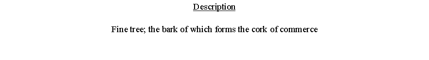 Text Box: DescriptionFine tree; the bark of which forms the cork of commerce 