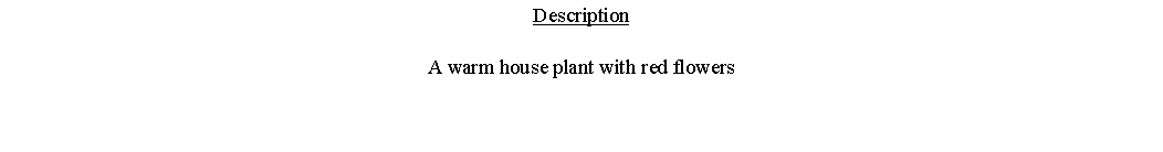 Text Box: DescriptionA warm house plant with red flowers 