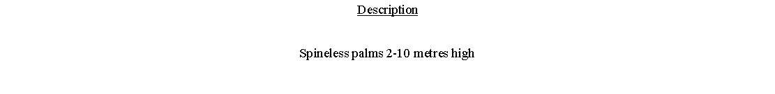 Text Box: DescriptionSpineless palms 2-10 metres high 