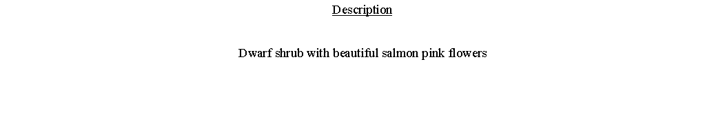 Text Box: DescriptionDwarf shrub with beautiful salmon pink flowers