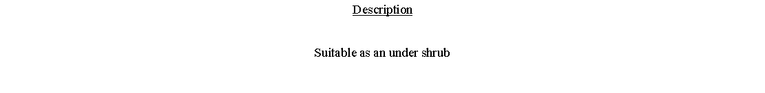 Text Box: DescriptionSuitable as an under shrub 