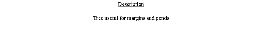 Text Box: DescriptionTree useful for margins and ponds 
