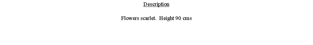 Text Box: DescriptionFlowers scarlet.  Height 90 cms 