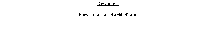Text Box: DescriptionFlowers scarlet.  Height 90 cms 
