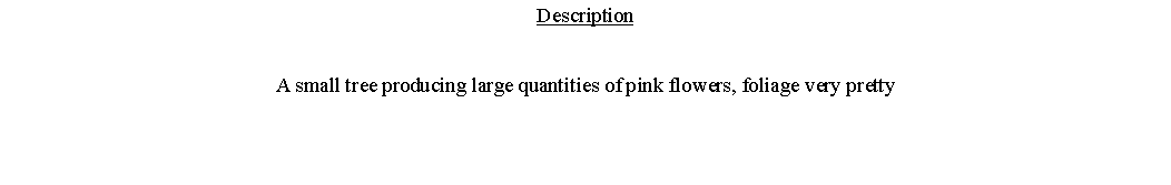 Text Box: DescriptionA small tree producing large quantities of pink flowers, foliage very pretty 