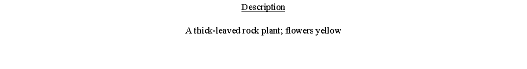 Text Box: DescriptionA thick-leaved rock plant; flowers yellow 