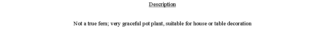 Text Box: DescriptionNot a true fern; very graceful pot plant, suitable for house or table decoration 
