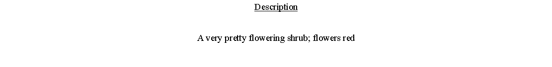 Text Box: DescriptionA very pretty flowering shrub; flowers red 