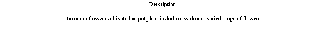 Text Box: DescriptionUncomon flowers cultivated as pot plant includes a wide and varied range of flowers 