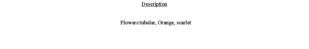 Text Box: Description  Flowers tubular, Orange, scarlet 