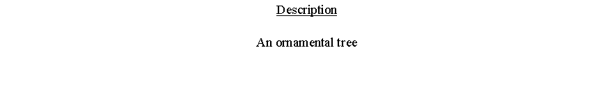 Text Box: DescriptionAn ornamental tree 