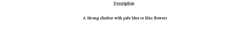 Text Box: Description  A Strong climber with pale blue or lilac flowers 