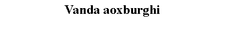 Text Box: Vanda aoxburghi 