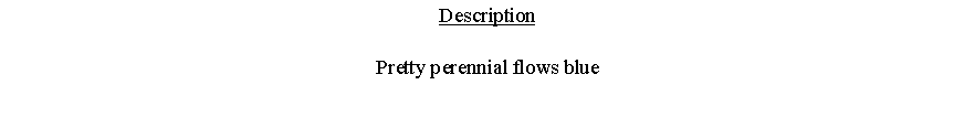 Text Box: DescriptionPretty perennial flows blue 